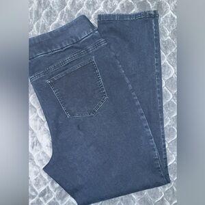 Chico's Dark Blue Women's Jeggings